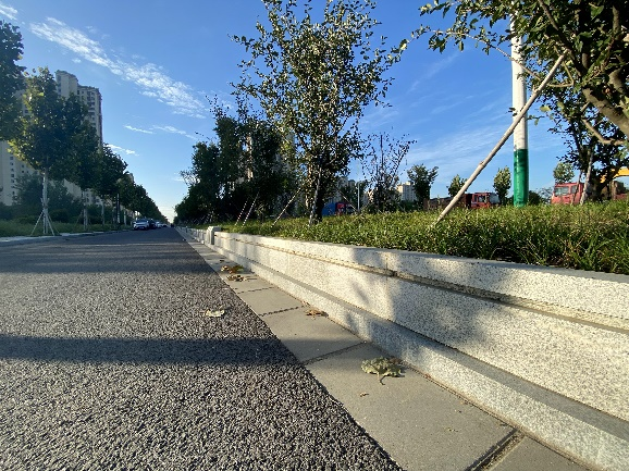 開創(chuàng)路北延項(xiàng)目1.png
