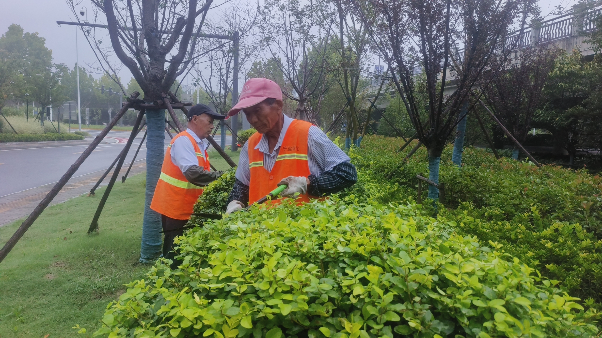 微信圖片_20250922085535_582_6.jpg 微信圖片_20250922085535_582_6.jpg